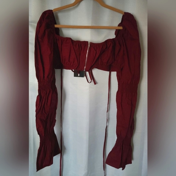 Meet Me At Brunch Crop Top (Wine) - Picture 4 of 7